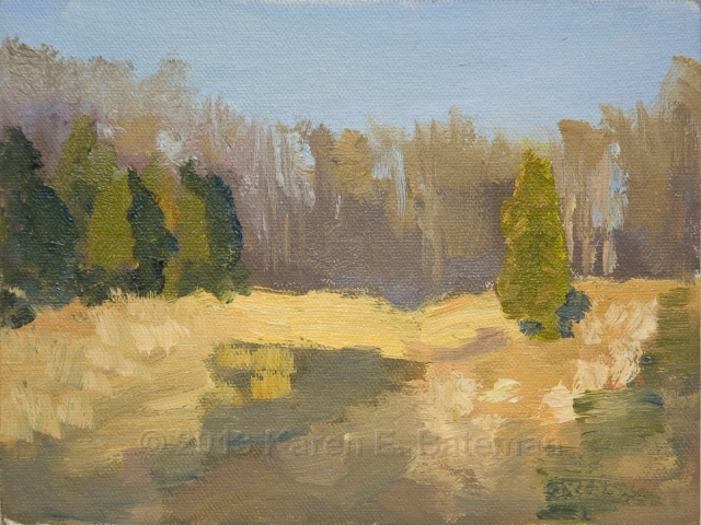 DSC_2742_Crop.JPG